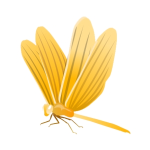 Golden Sparkle Dragonfly